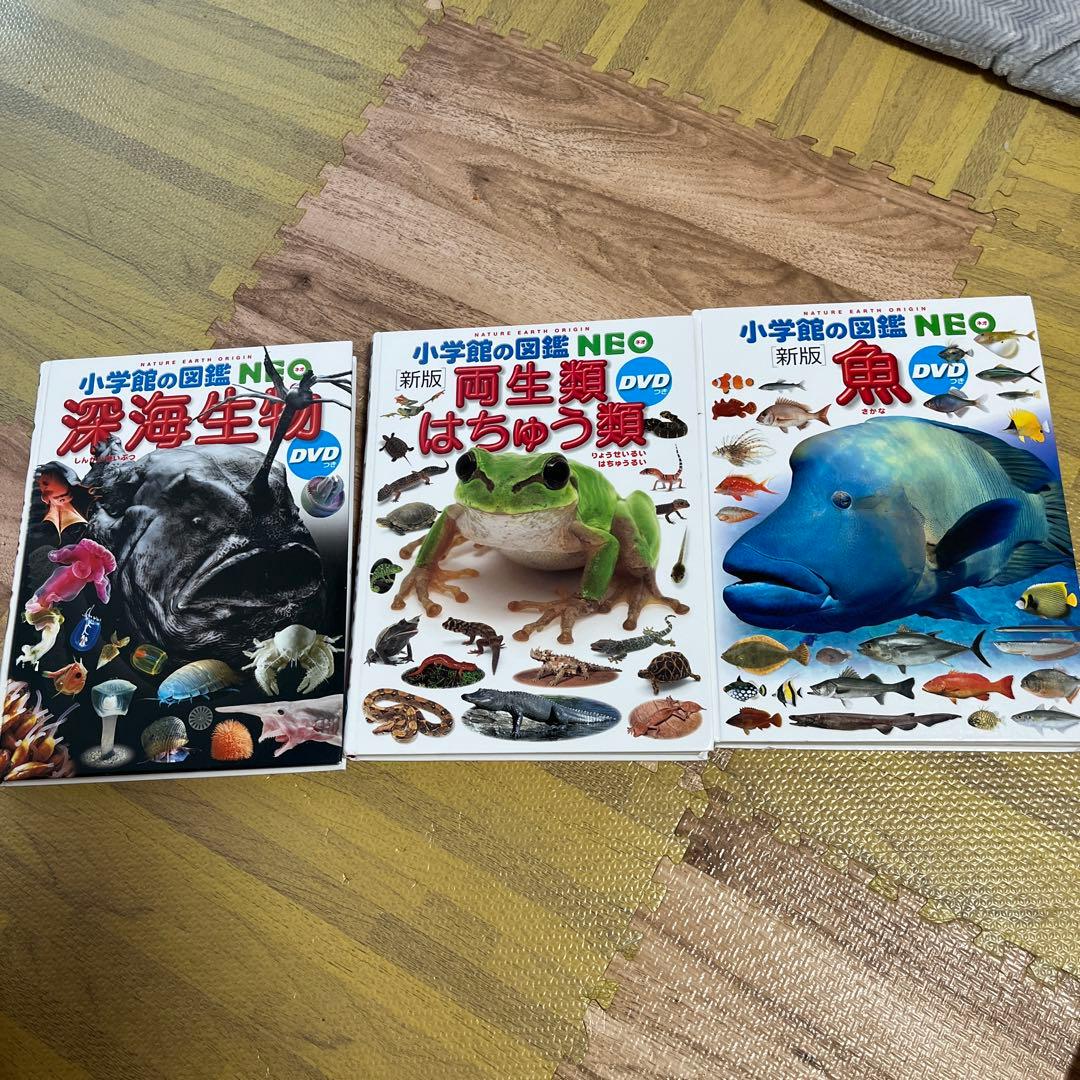 小学館の図鑑NEO DVDなし　19冊セット