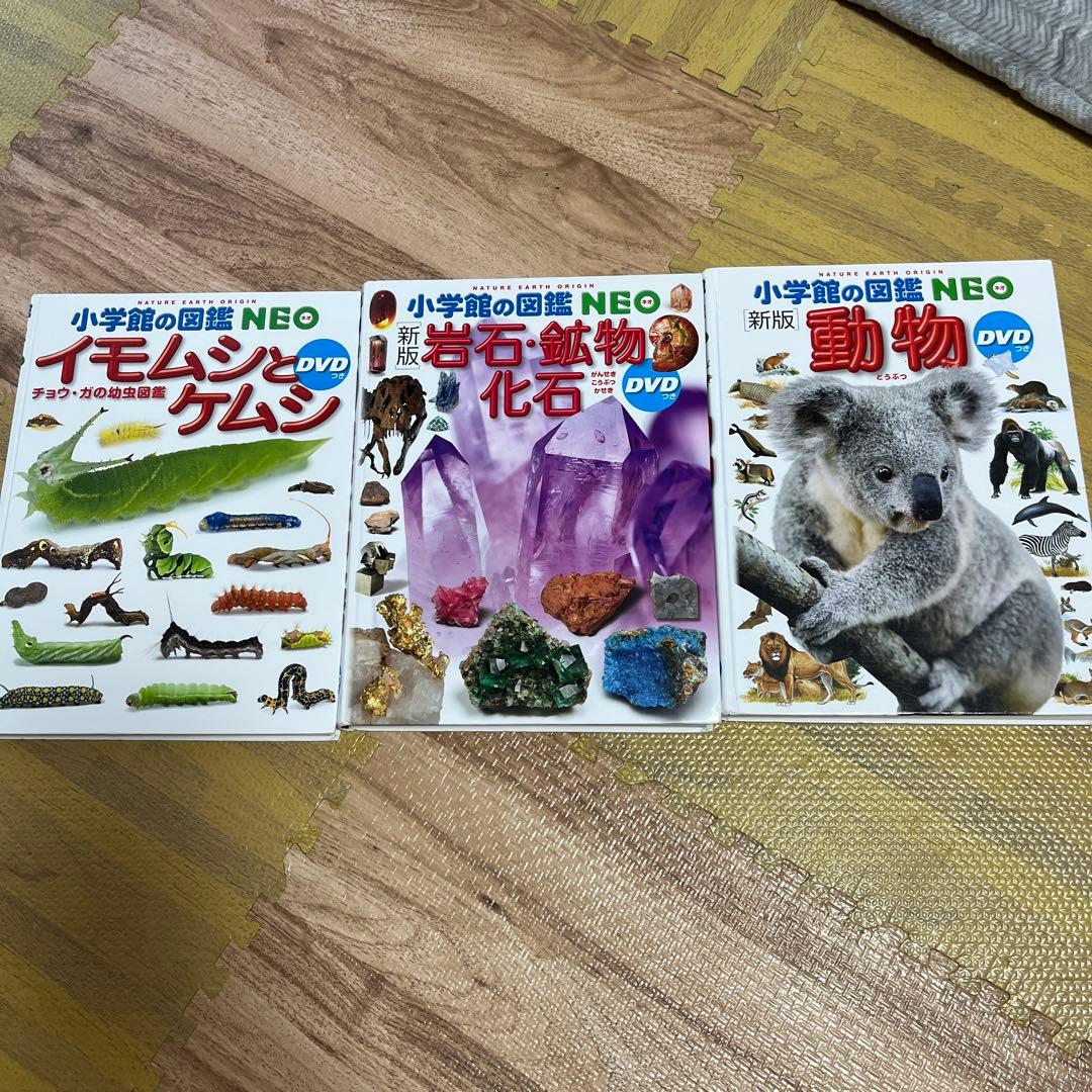 小学館の図鑑NEO DVDなし　19冊セット