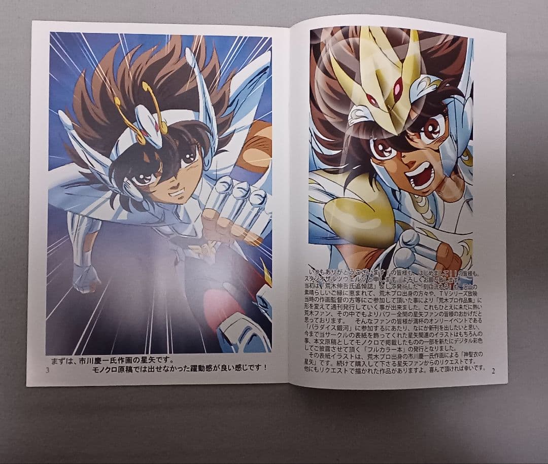 COLORS4 カラーイラスト集 聖闘士星矢 スタジオザルツウェルツ同人誌