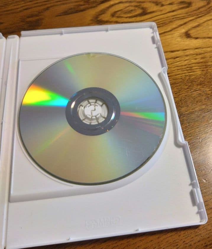 らんま1/2 DVD 劇場アニメ　決戦桃幻郷！花嫁を取り戻せ!!【動作確認済】