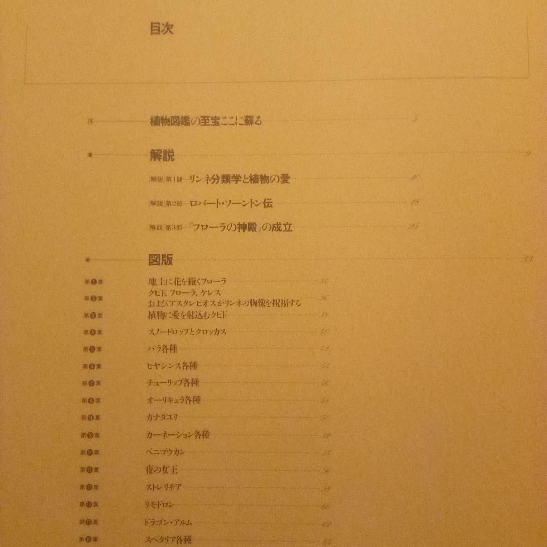 絶版／フローラの神殿　R・J・ソーントン　荒俣宏 編著　リブロポート　1985年