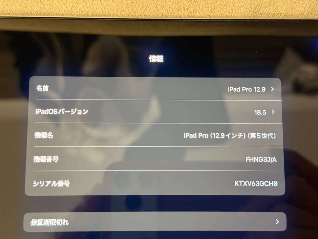 【極美品】Apple iPad Pro （M1）12.9インチ 第5世代 本体