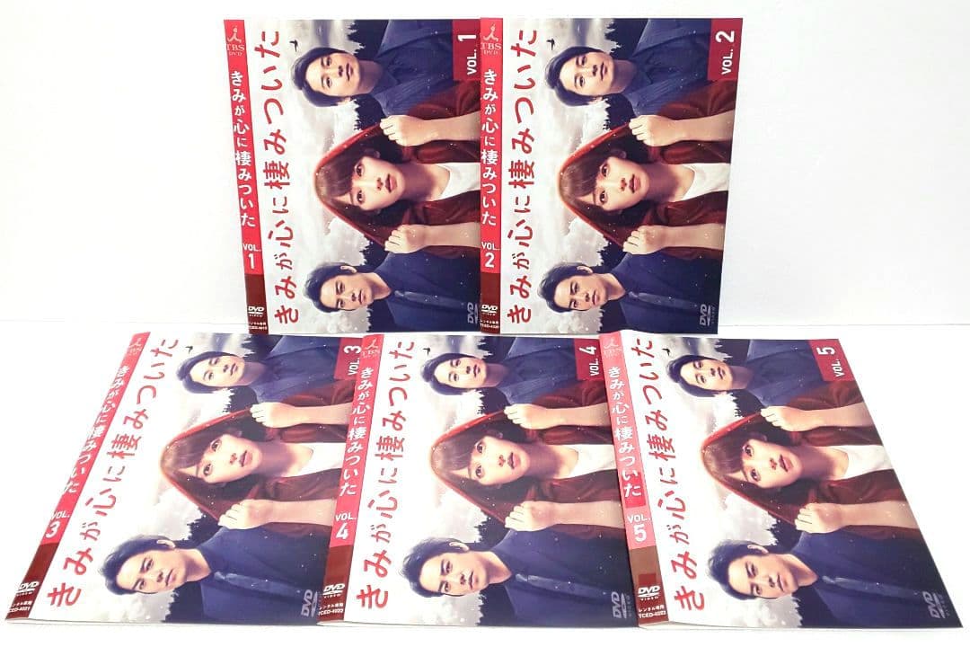 きみが心に棲みついた DVD 全巻 セット ドラマ 吉岡里帆 桐谷健太 向井理