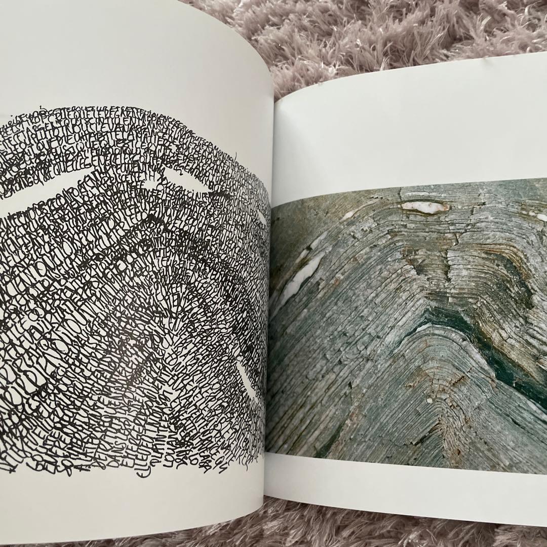 CALLIGRAPHY Denise Lach デニスラック　洋書