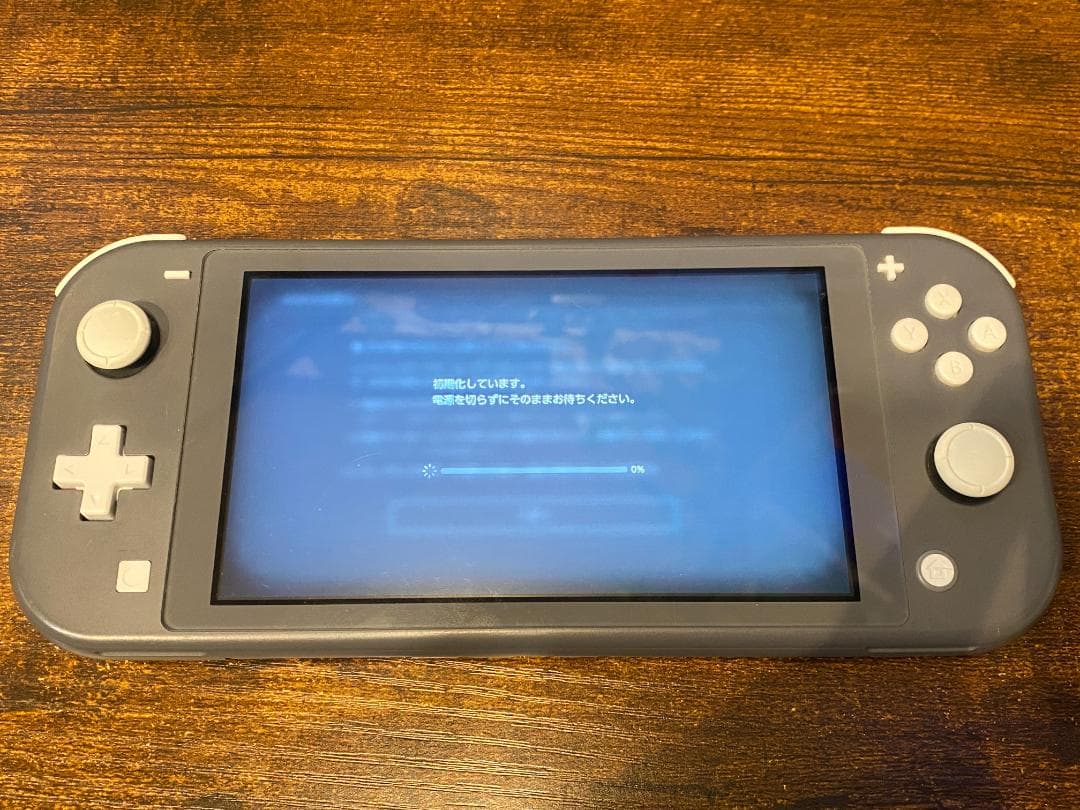 Nintendo Switch Lite グレー 本体 + 付属品