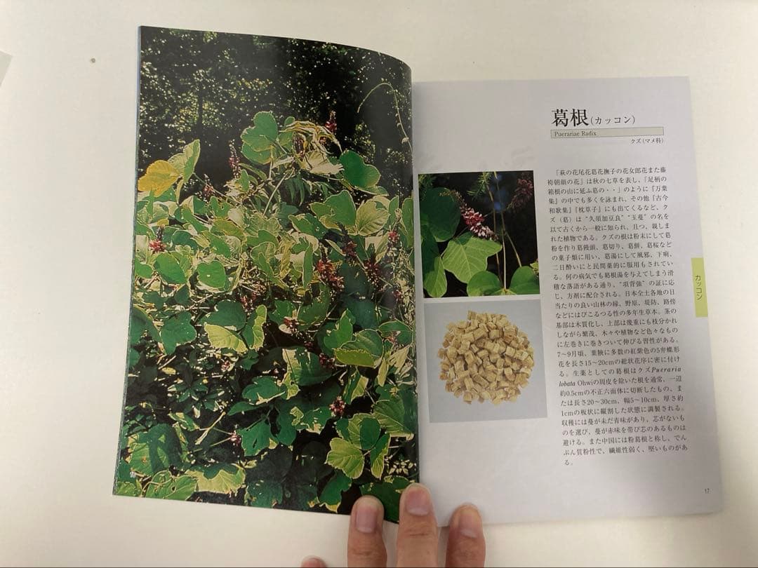 漢方薬・生薬 薬剤師講座テキストセット等