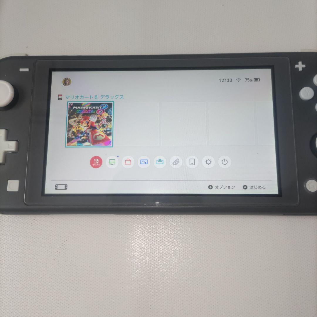 【良品】Nintendo Switch Lite 本体 GLAY