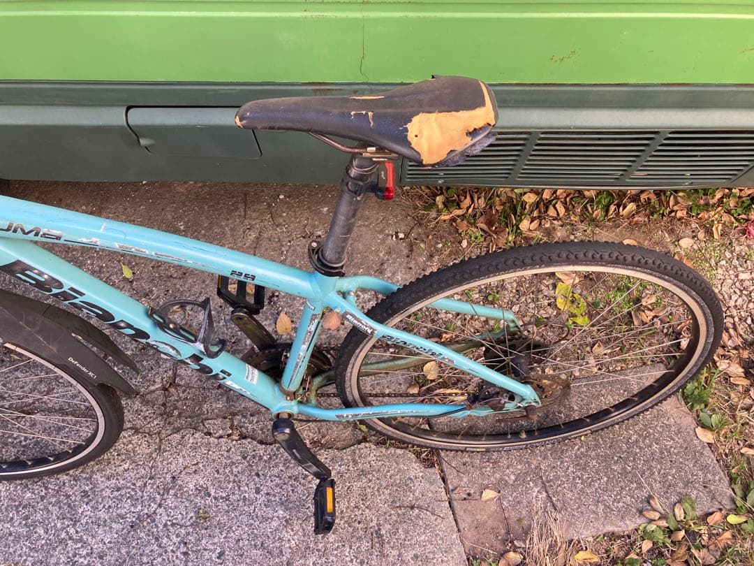 山*物様 Bianchi Kuma 29 KUMA