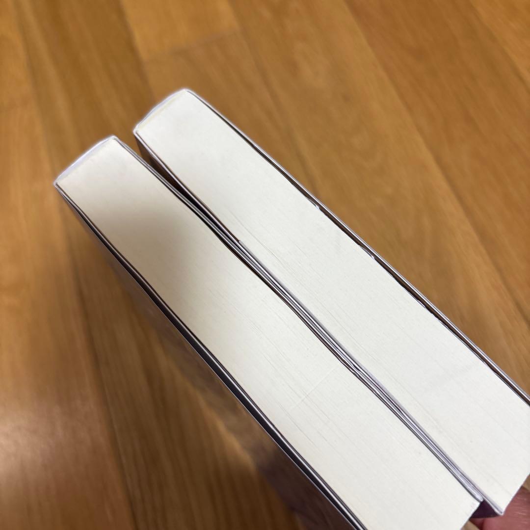 【新品】意味と形のインターフェイス(上、下) ニ冊セット　中右実教授論文80篇