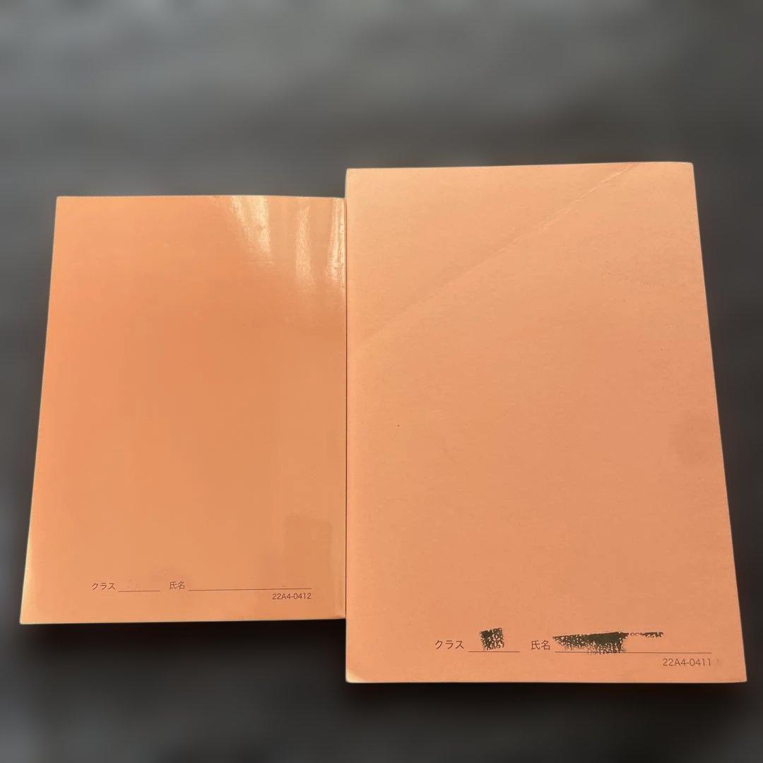 新品 鉄緑会高1英語発展講座英文法テキスト・問題集セット(２０２２年度版)