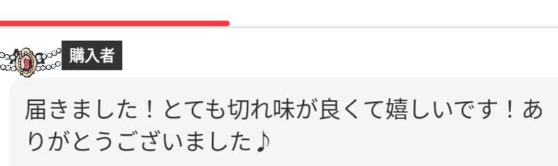 スパっと切れる理美容師プロ用セニングシザー両面使用可☀犬トリミングペットもも可☀