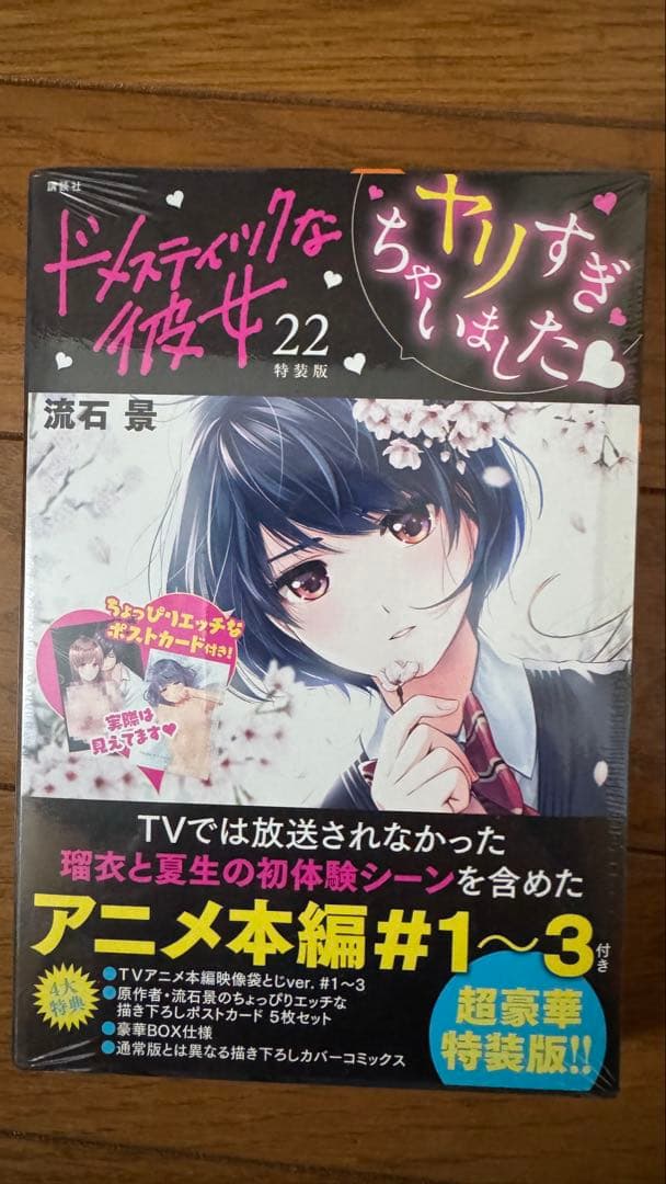 ドメスティックな彼女　特装版