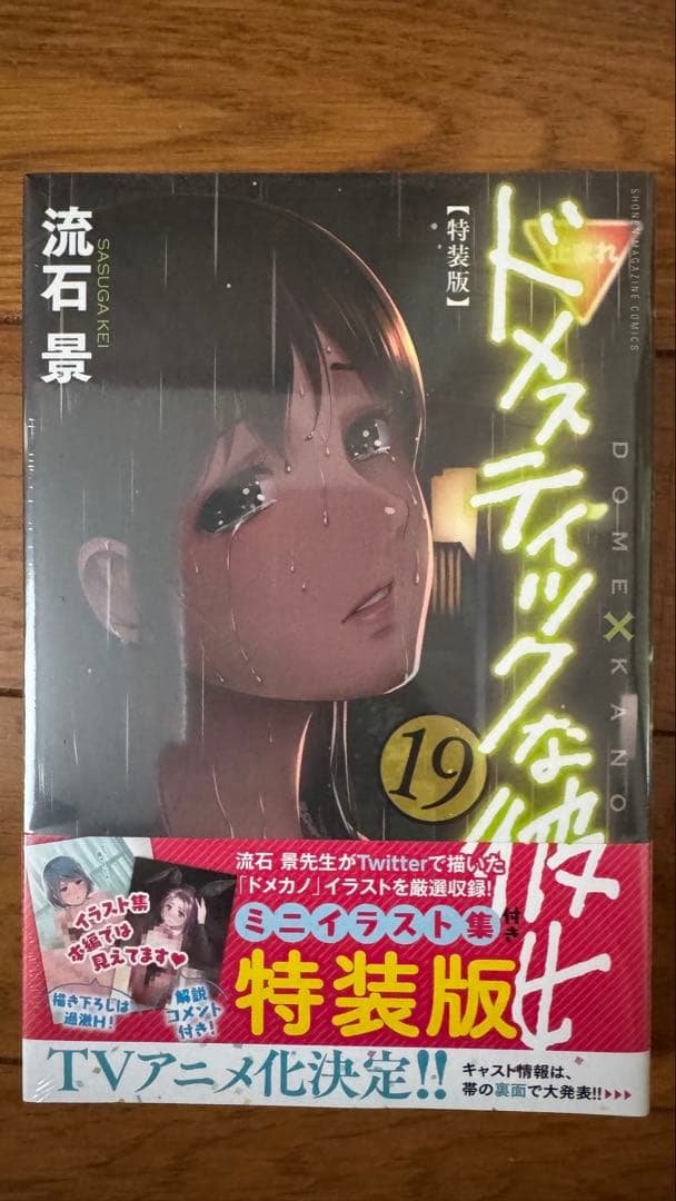 ドメスティックな彼女　特装版
