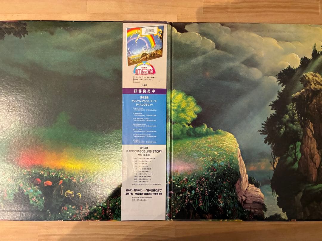 高中正義 / THE RAINBOW GOBLINS LPレコード