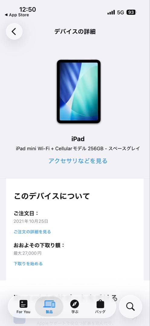 king専用⭐︎iPad mini 6 256G セルラー