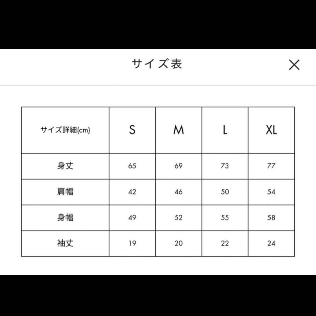 山﨑賢人　今際の国のアリスTシャツ　Lサイズ