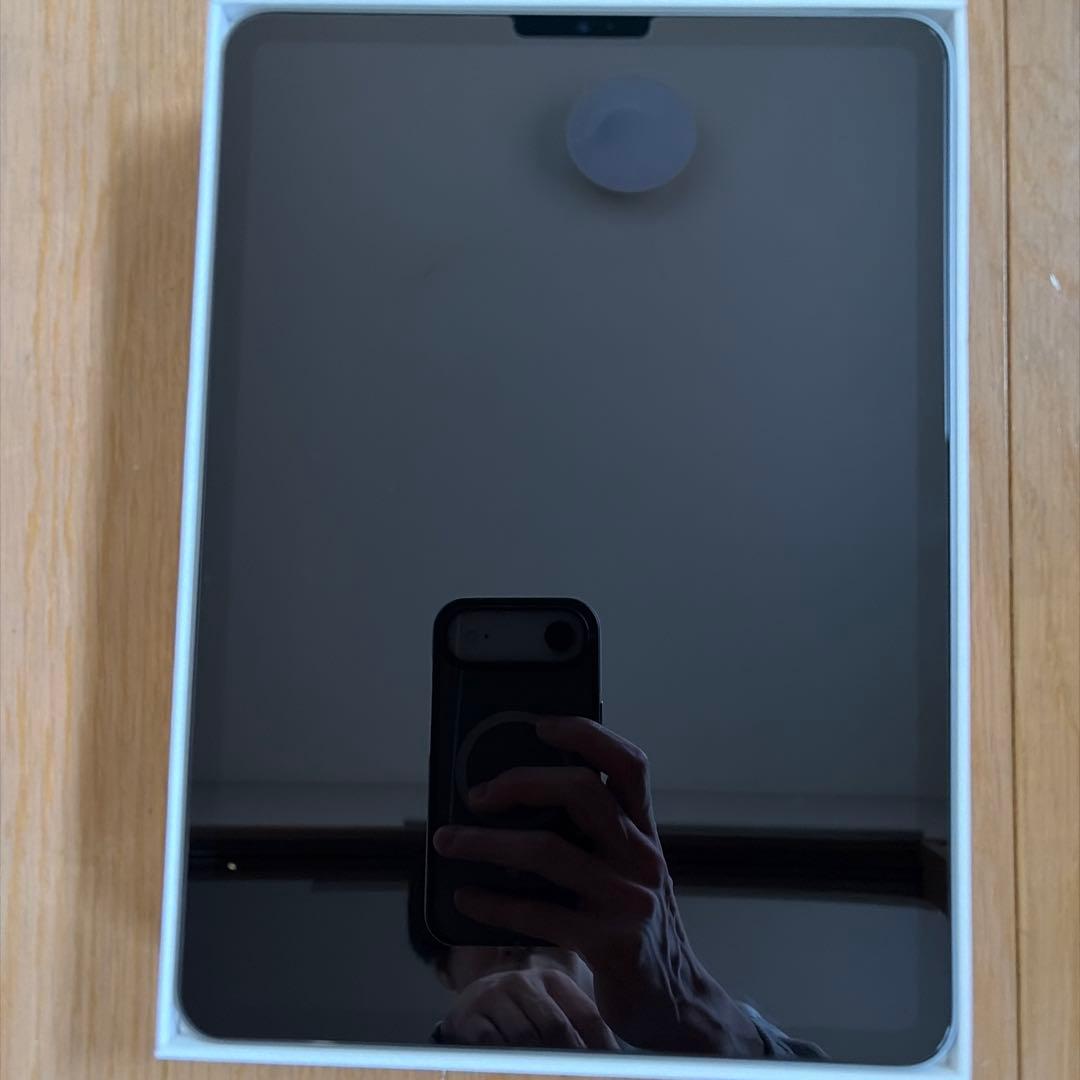 Apple iPad Pro 第4世代 スペースグレー 本体 WiFi