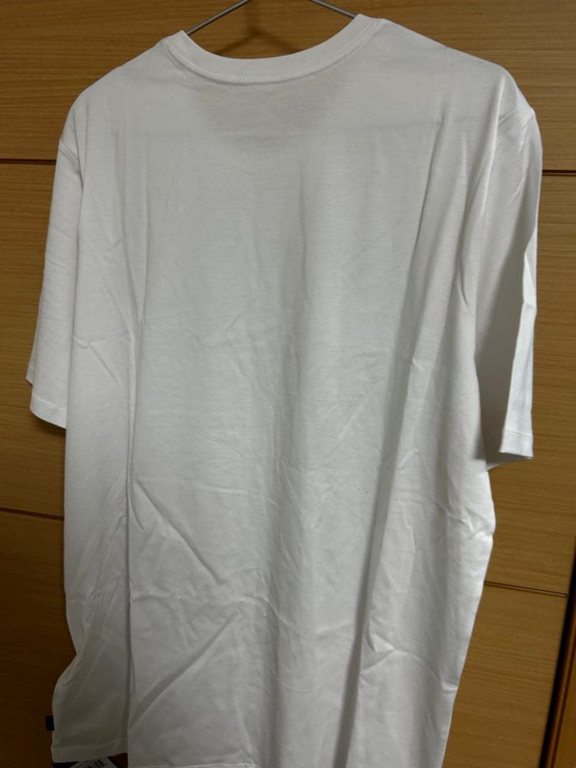 ARC'TERYX ホワイト Tシャツ L
