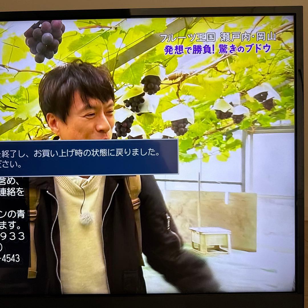 テレビ　TOSHIBA REGZA 43Z730X 43インチ　2020年製