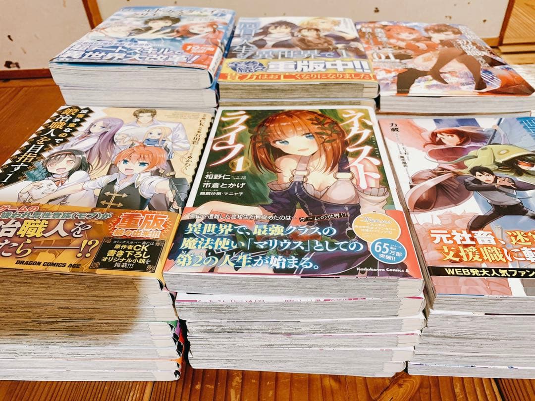 転生系6タイトル 45冊セット 2度目の人生を異世界で ネクストライフ 他