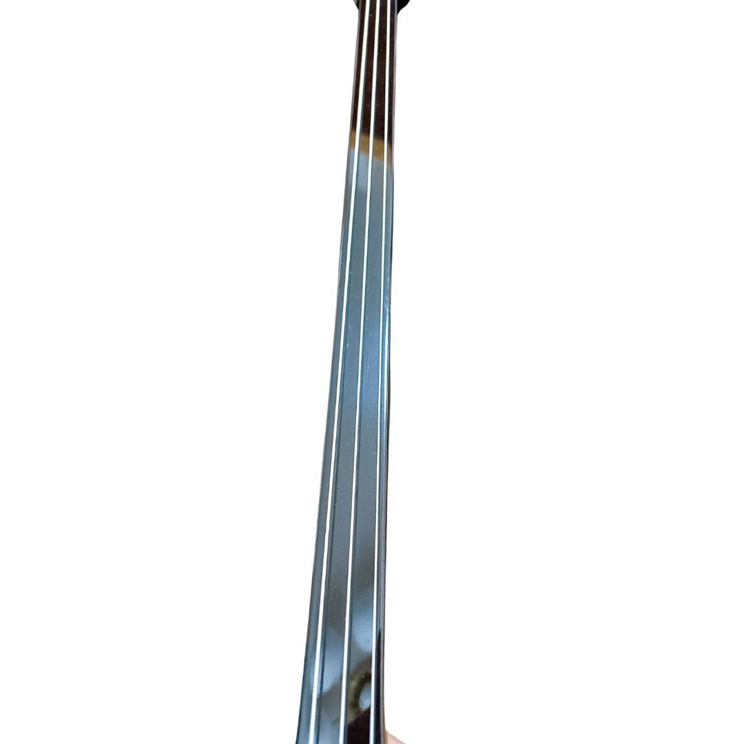 【美品】 沖縄三線 蛇皮 合皮 初心者 入門者 ソフトケース付 付属品あり