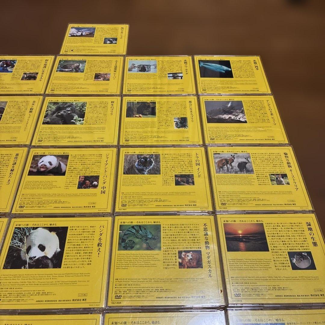 ナショナルジオグラフィック DVDセット 31巻