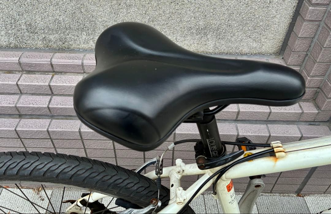 LOUIS GARNEAU ルイガノ　LGS FIVE MTB 東京