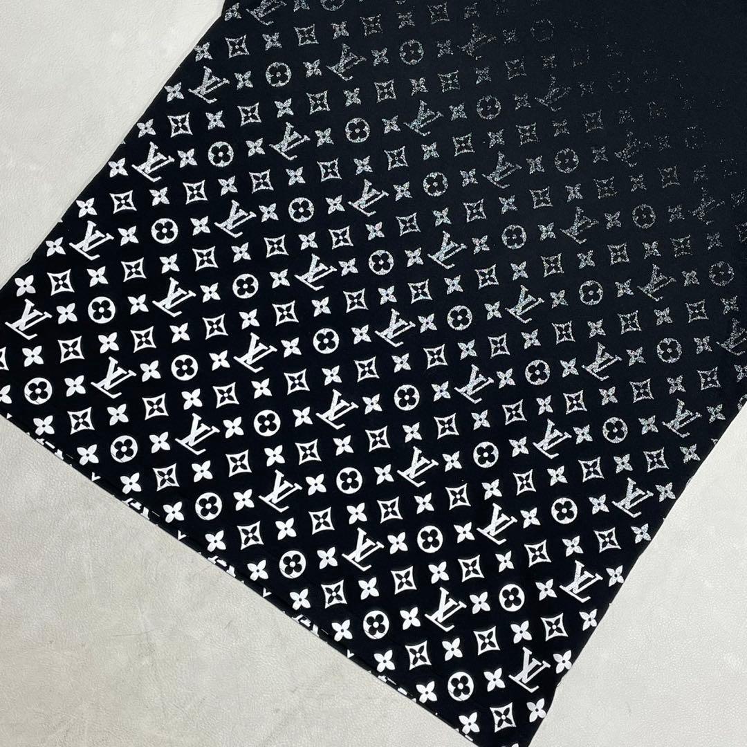 美品 24年モデル 箱付き LOUIS VUITTON ルイヴィトン Tシャツ