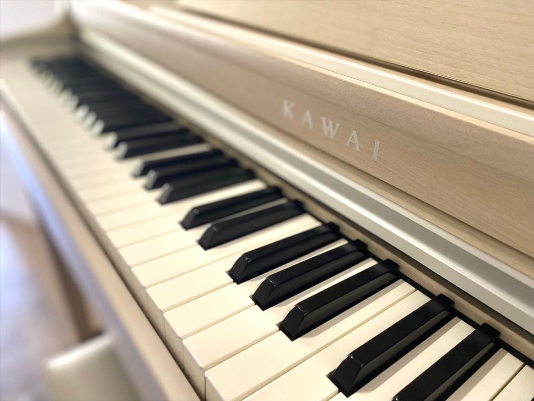 くじら【送料・階段・ヘッドフォン込み】KAWAI CN29 大人気シリーズ