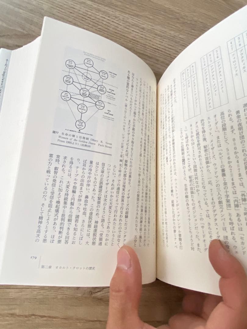 タロット大全　歴史から図像まで　伊泉龍一