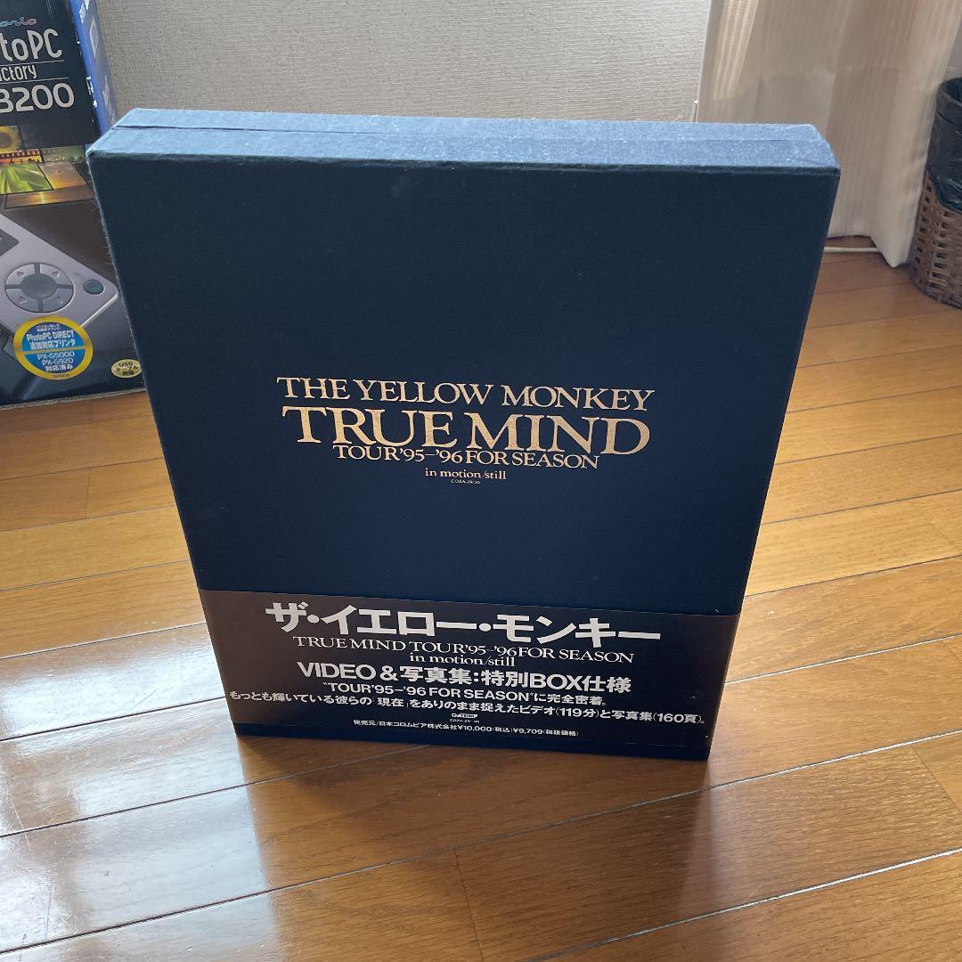THE YELLOW MONKEY CD集&写真集