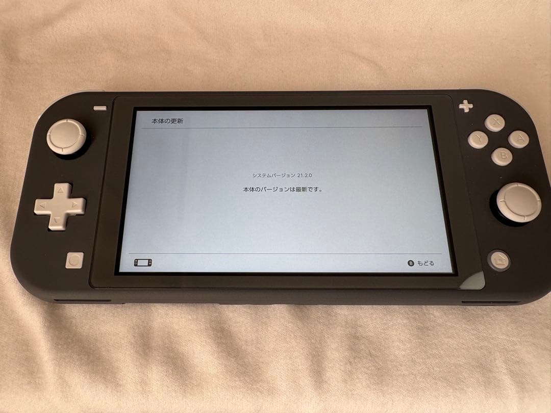【まりる】　Switch Lite 本体と保護フィルムなど一式