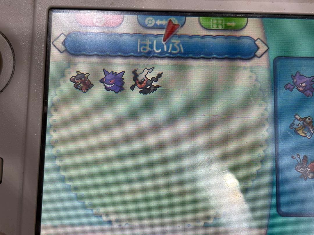 ポケットモンスター アルファサファイア & X セット　配布ポケモン有り