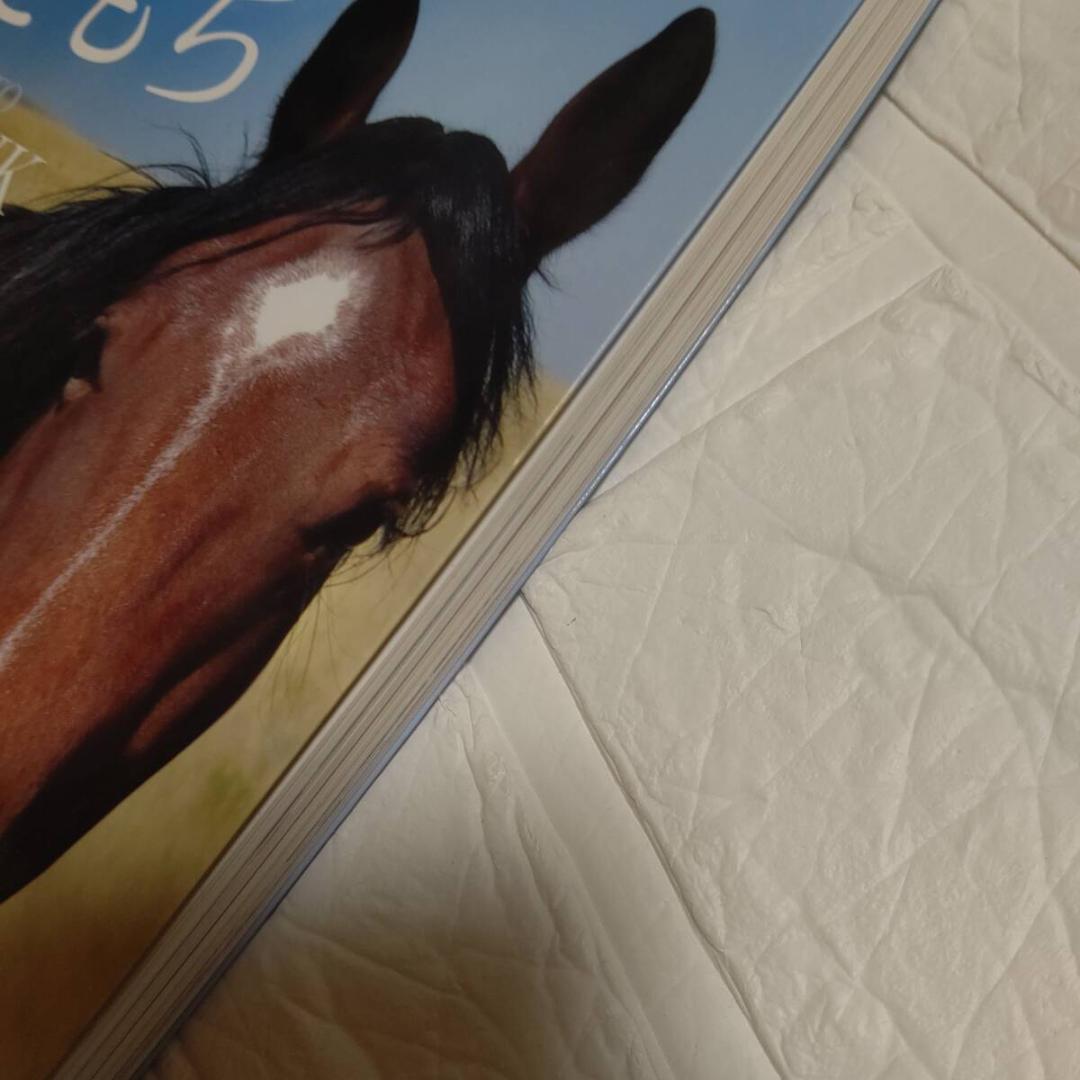 馬のきもち HOW TO THINK LIKE A HORSE チェリー・ヒル