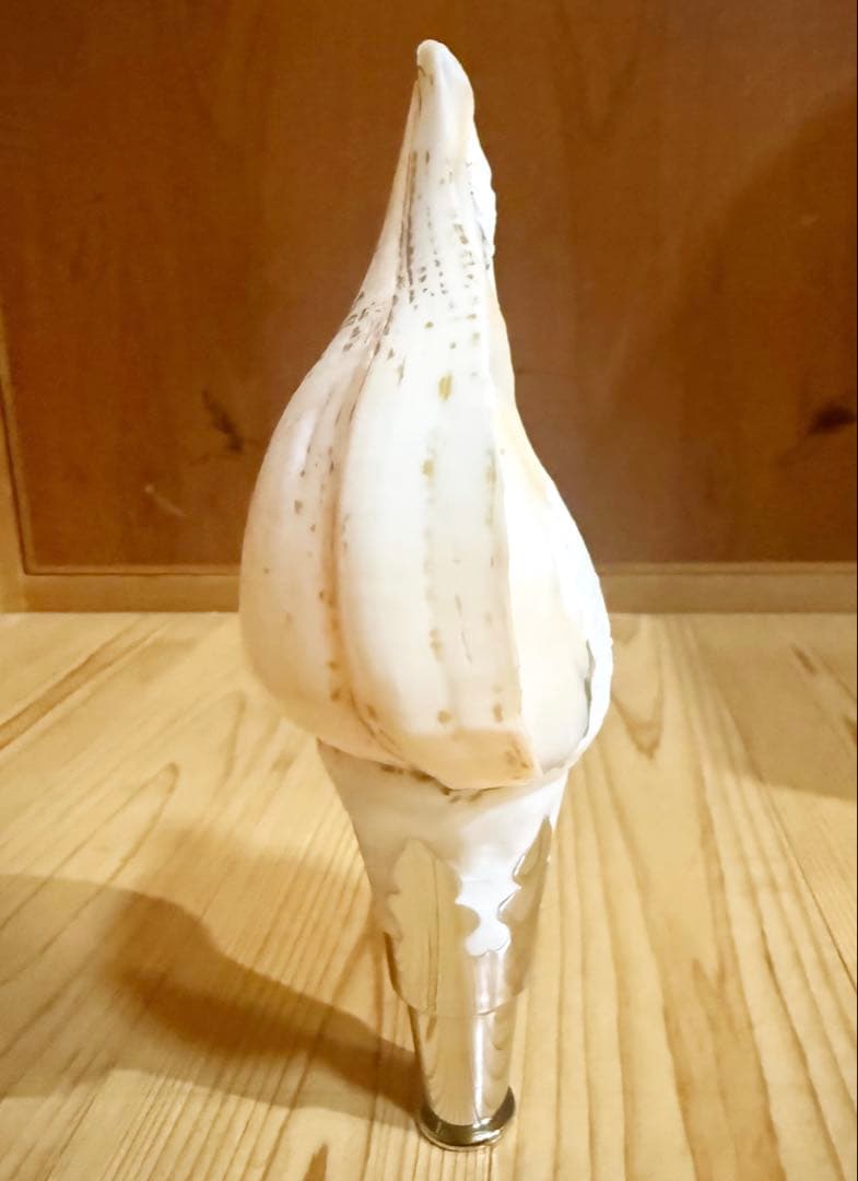 ryohanさま専用白螺貝一口（シャンク法螺貝）口金歌口付き　ほら貝　ホラガイ❣️