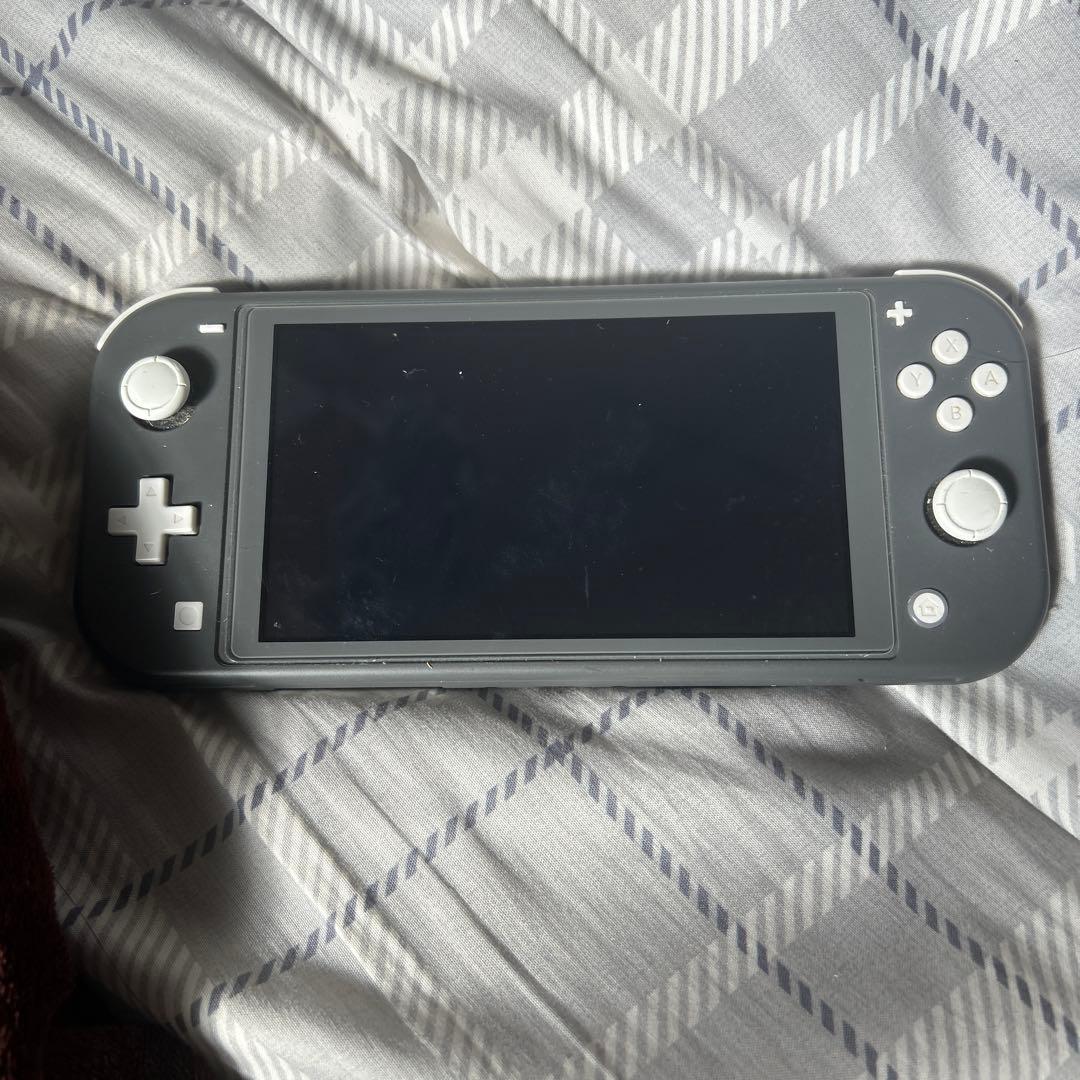 d*2様 Nintendo Switch Lite グレー 本体