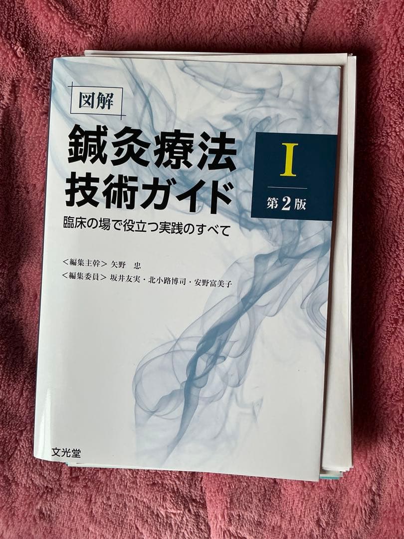 図解鍼灸療法技術ガイド : 臨床の場で役立つ実践のすべて. 1巻2巻セット