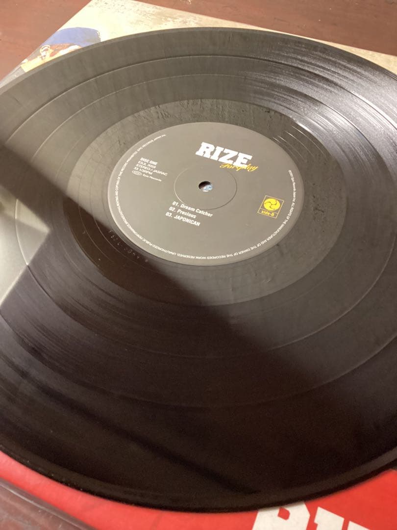 RIZE for play 2枚組レコード　ライズ