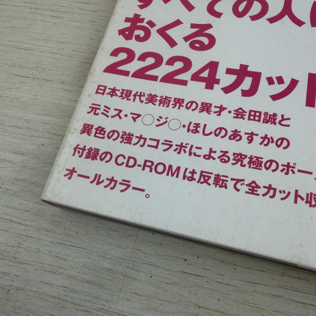 会田誠 少女ポーズ大全 CD-ROM未開封