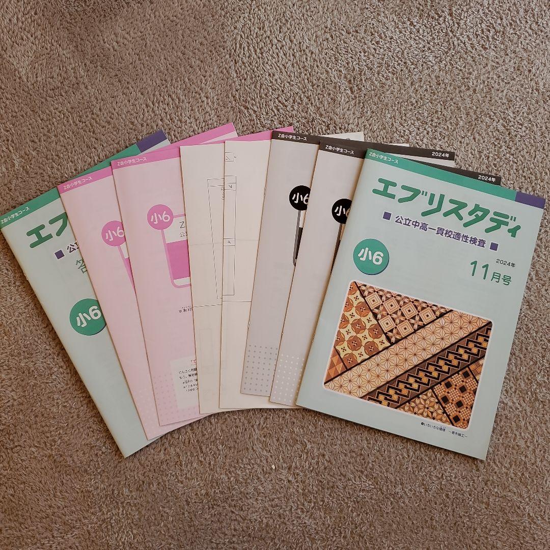 公立中高一貫校 適性検査対策 小6 エブリスタディ Z会