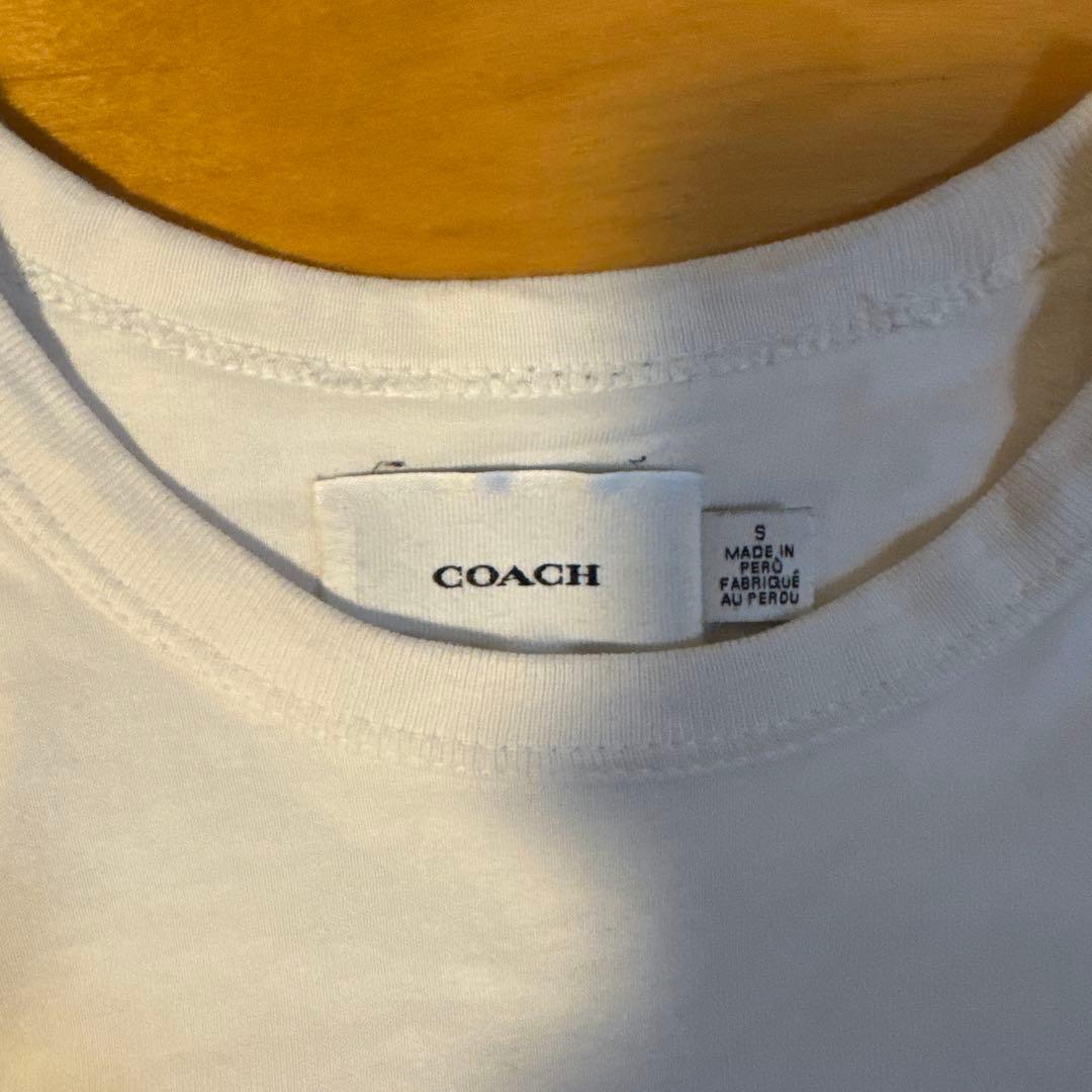 COACH コーチ レガシー 恐竜イラスト ホワイトTシャツ Sサイズ