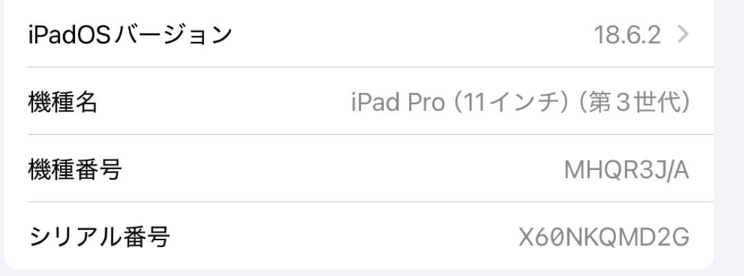 iPad Pro 11インチ(第三世代) 128gb Apple Pencil有