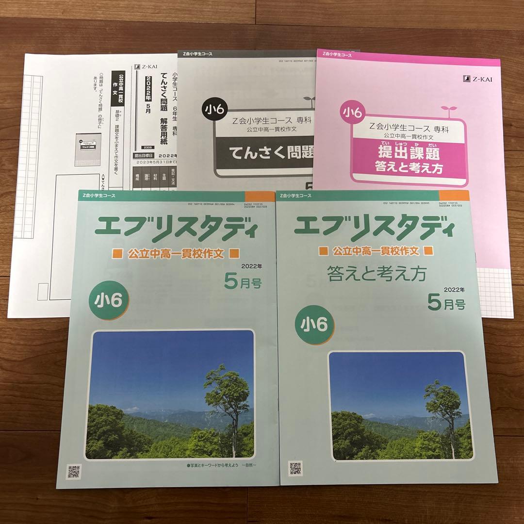 Z会 エブリスタディ 公立中高一貫校 作文 小6 2022年　4〜12月