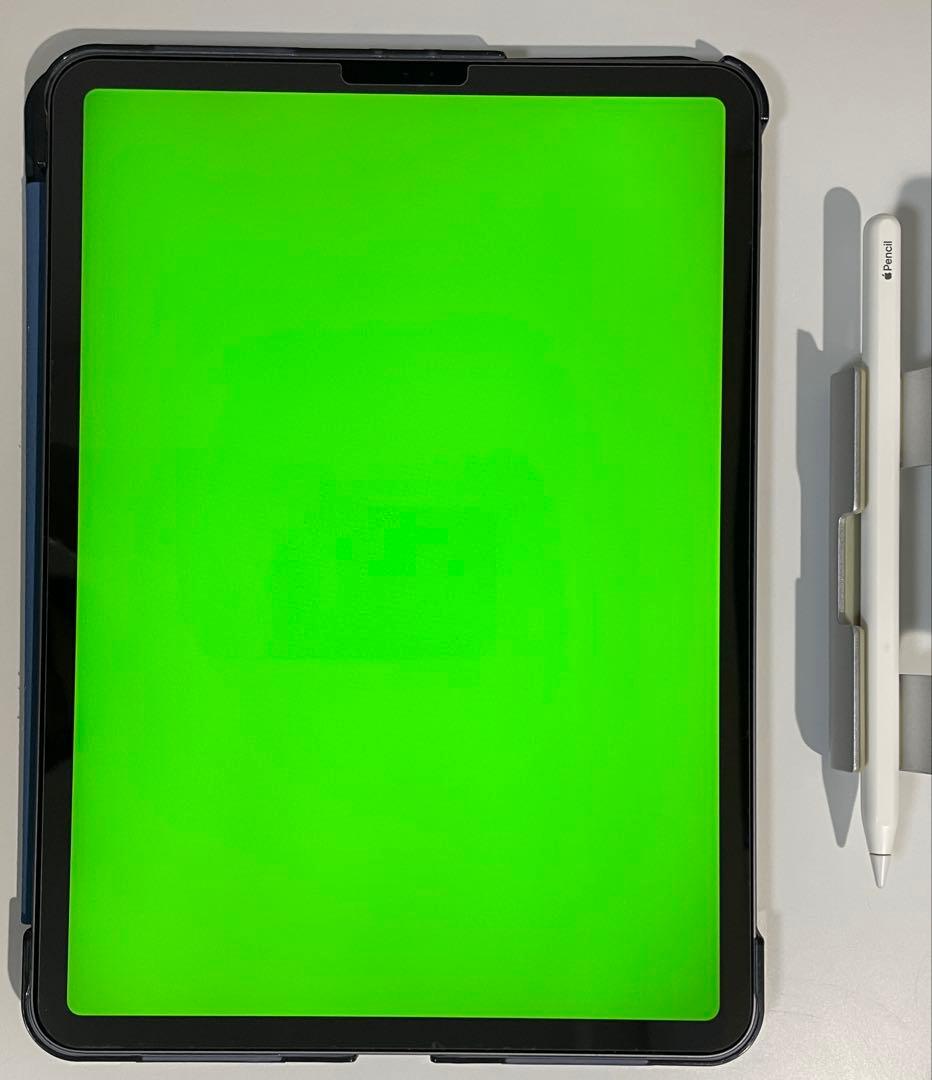 ipad pro 11インチ 第一世代 Apple Pencil(第二世代)