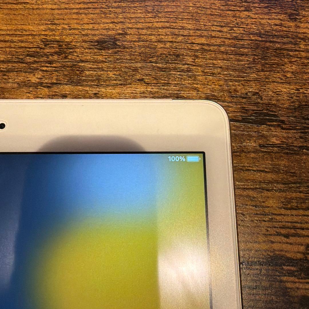 【美品】iPadAir2 16GB ゴールド 本体 充電ケーブル付き