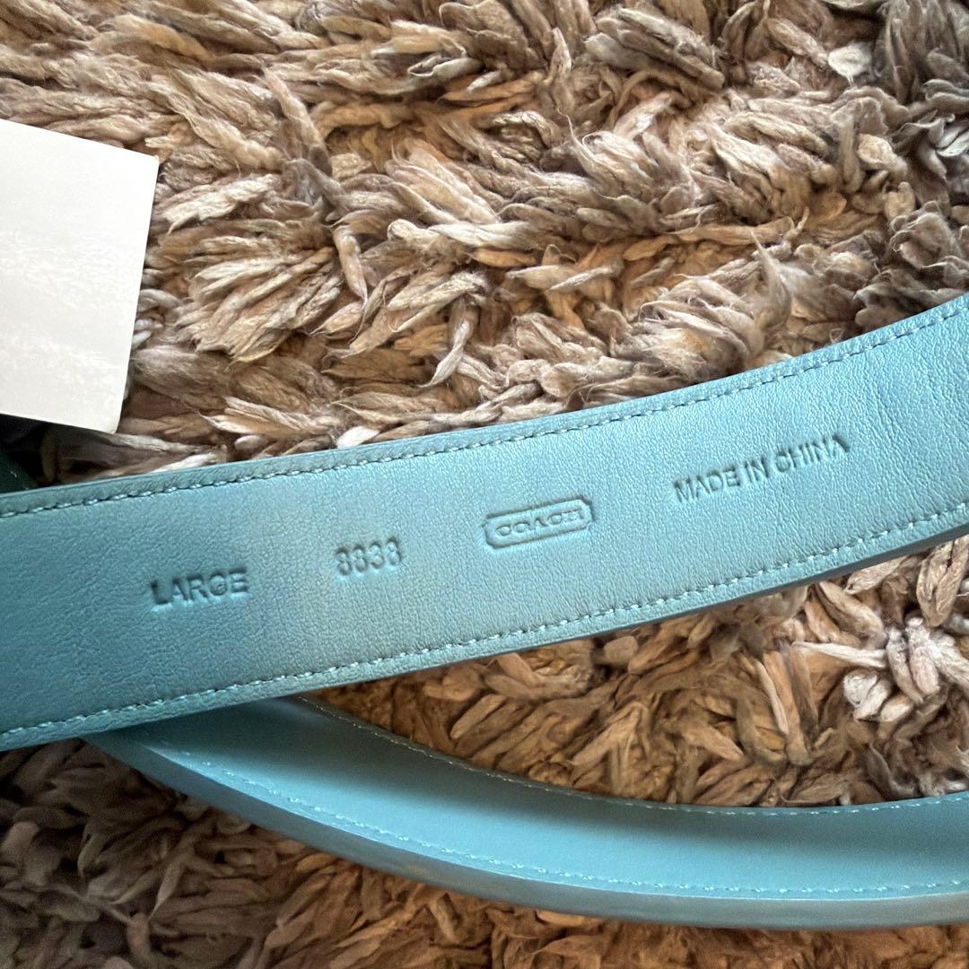 COACH 犬　ドッグ　リード　シグネチャー　ティファニーブルー