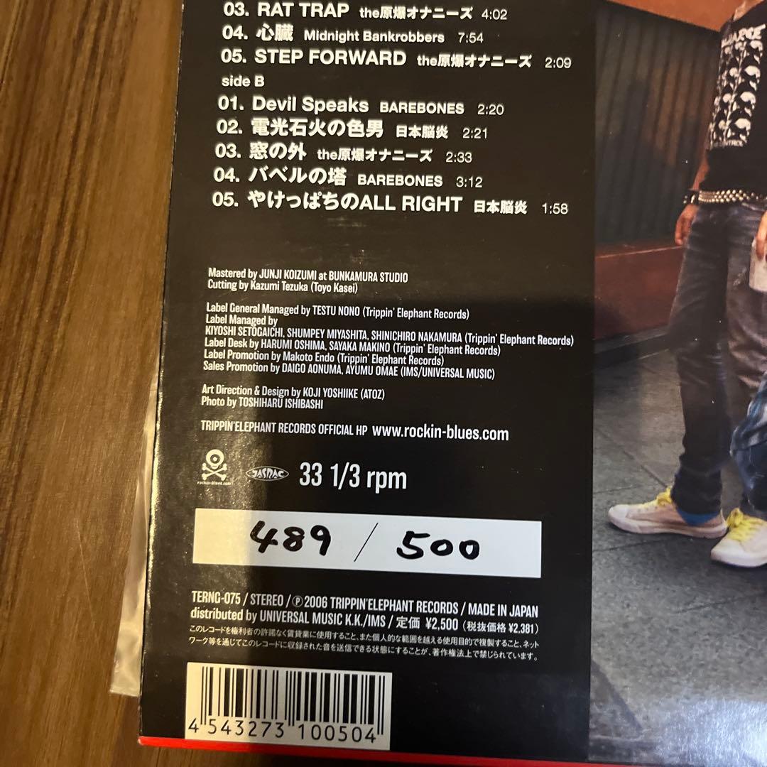 TRIP IN HARDCORE 邦楽 レコード　限定500枚　激レア　日本脳炎