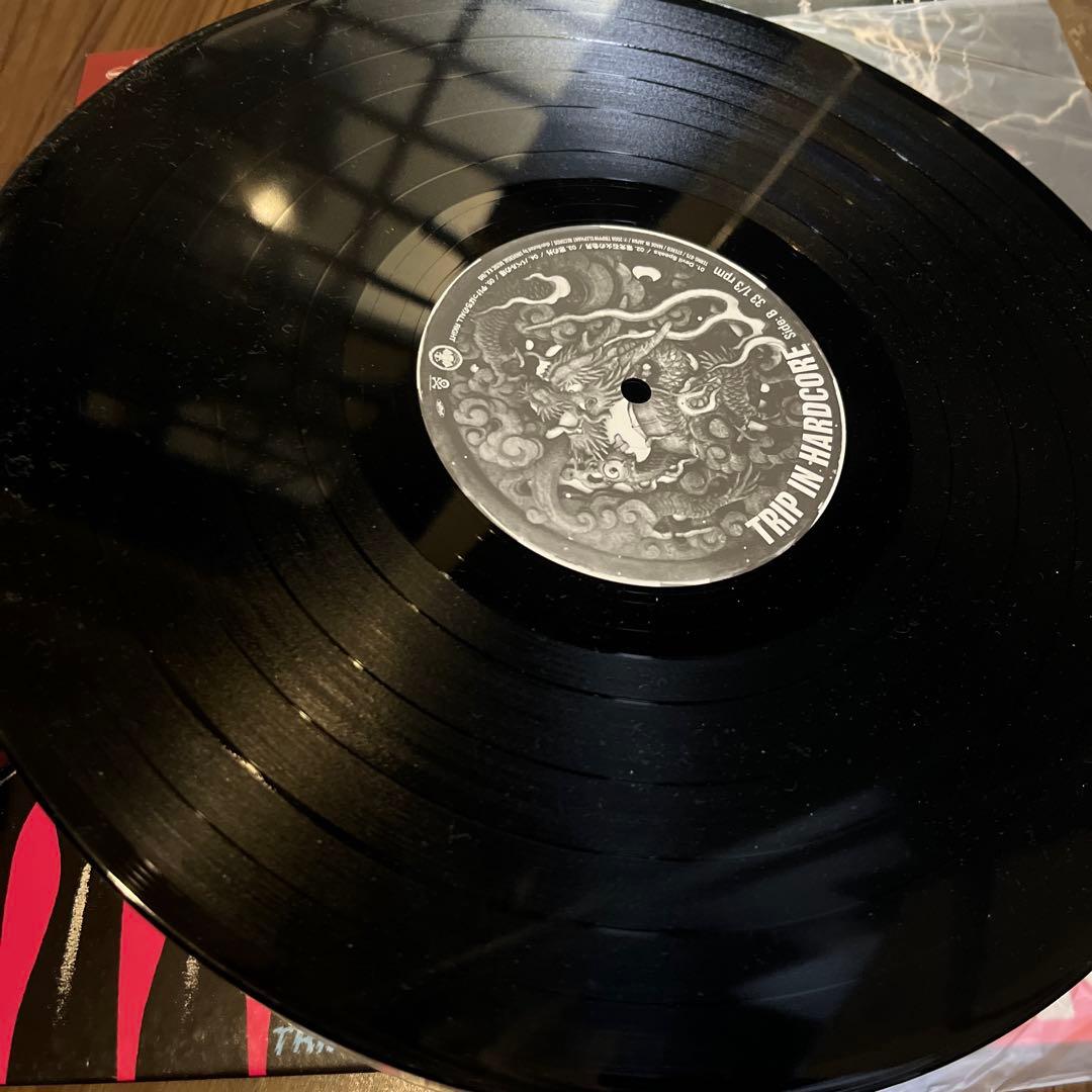 TRIP IN HARDCORE 邦楽 レコード　限定500枚　激レア　日本脳炎