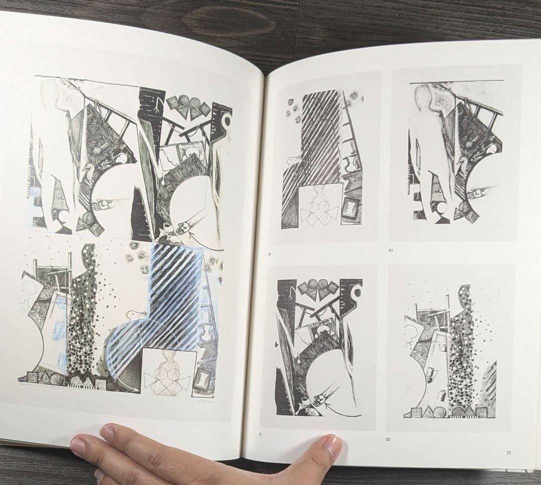 洋書　ジャスパー・ジョーンズ Jasper Johns The Seasons