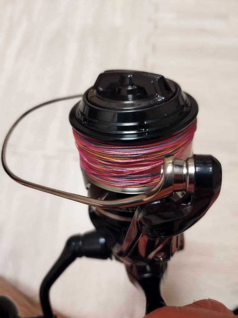 軟体動物　シマノ ストラディック SW 6000HG